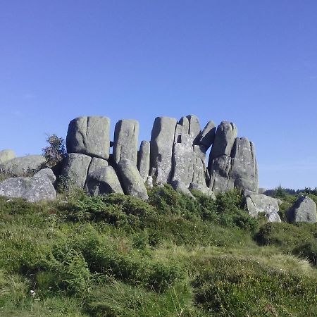 Le Gite Du Leymel Luttenbach-près-Munster Exterior foto