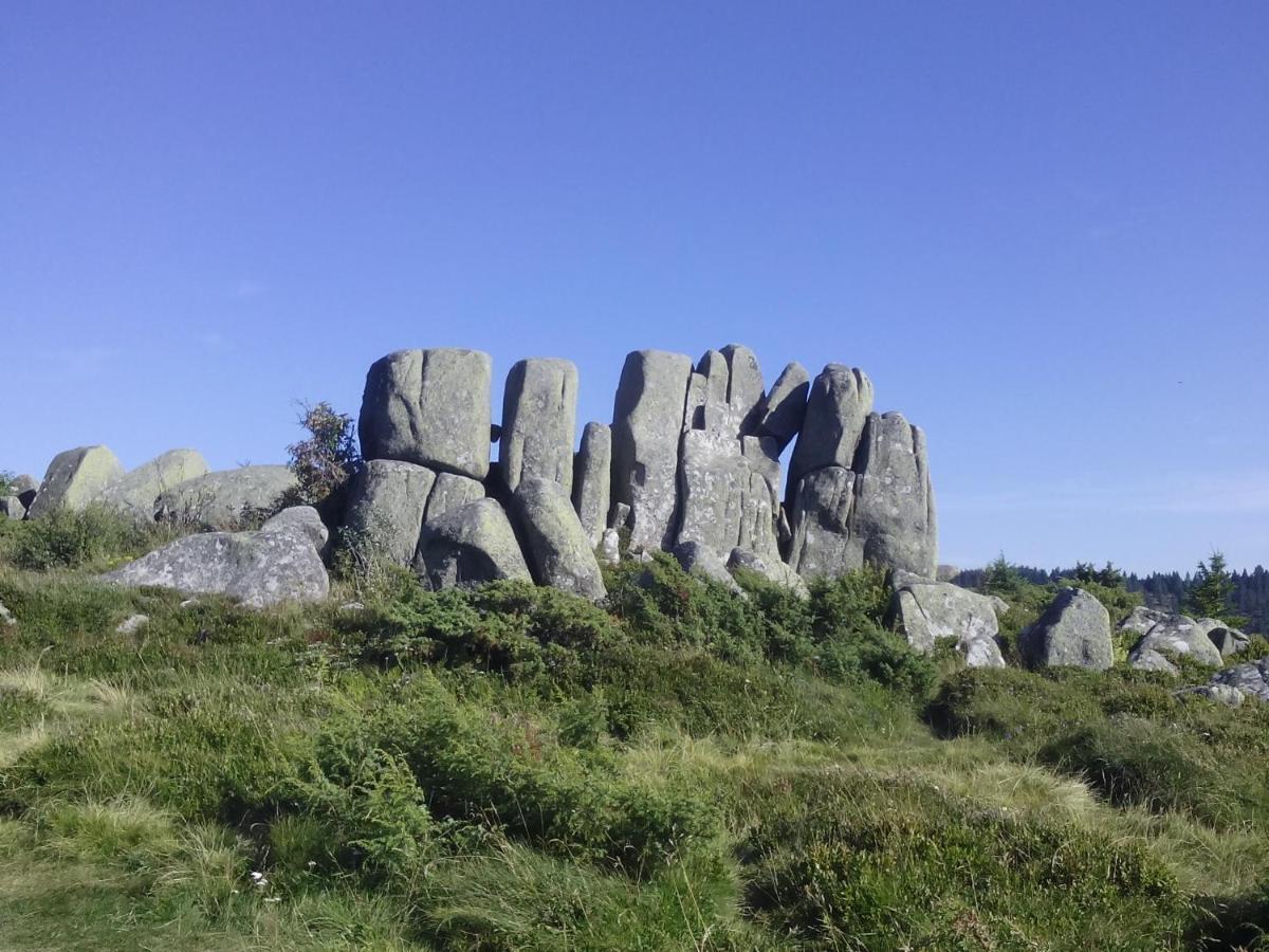 Le Gite Du Leymel Luttenbach-près-Munster Exterior foto