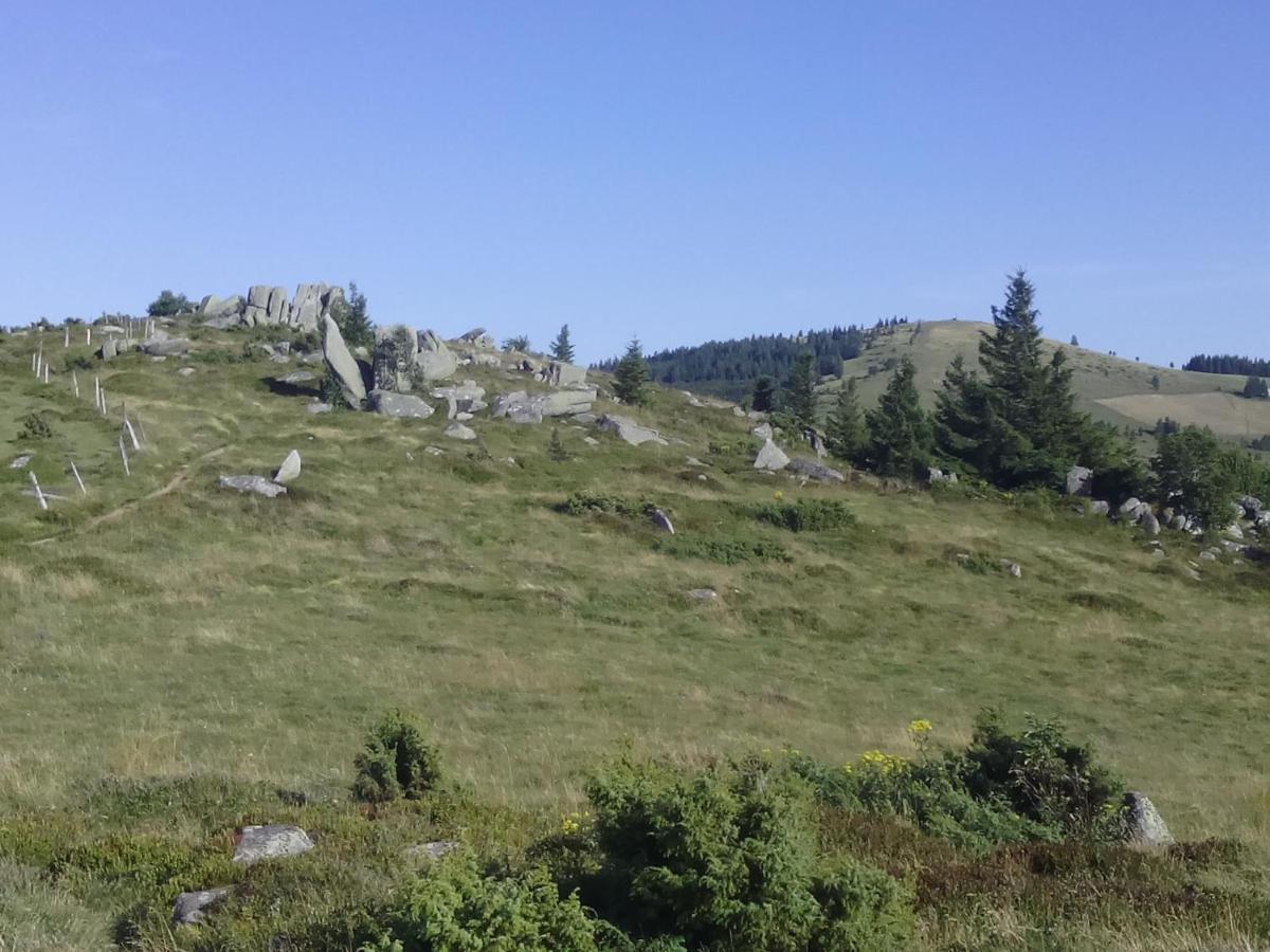 Le Gite Du Leymel Luttenbach-près-Munster Exterior foto